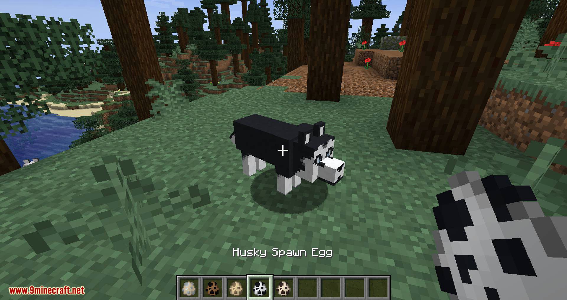More Dogs Mod 1.15.2, 1.14.4 (More Dog Breeds to Minecraft) 12