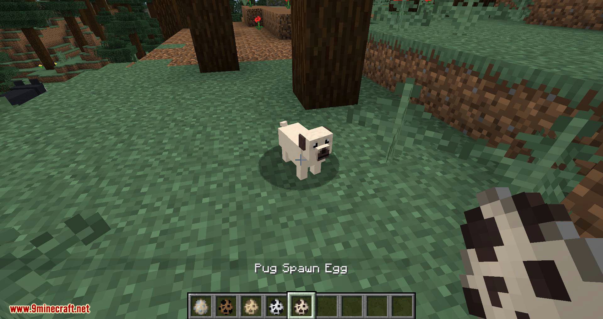 More Dogs Mod 1.15.2, 1.14.4 (More Dog Breeds to Minecraft) 13