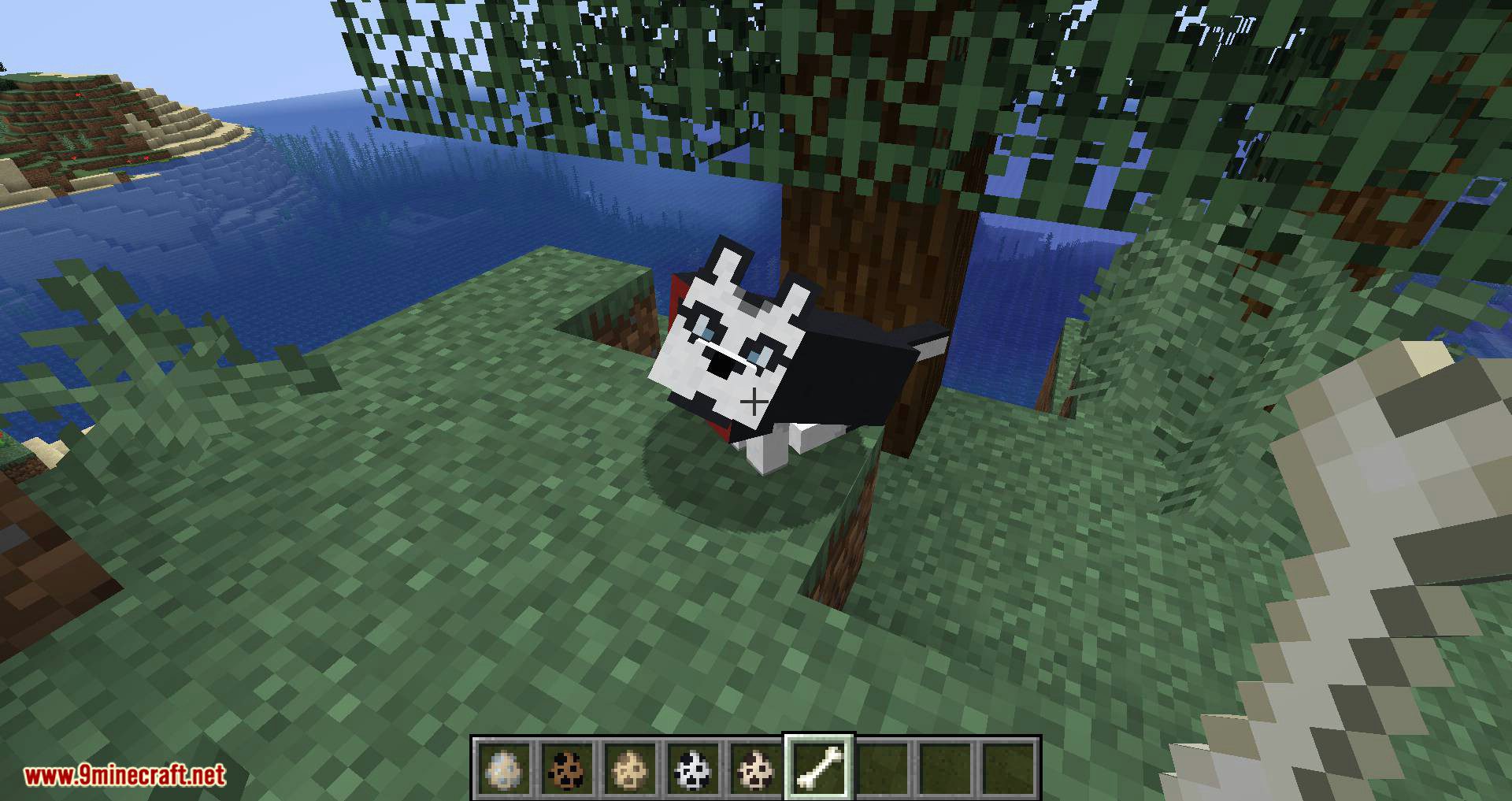 More Dogs Mod 1.15.2, 1.14.4 (More Dog Breeds to Minecraft) 14