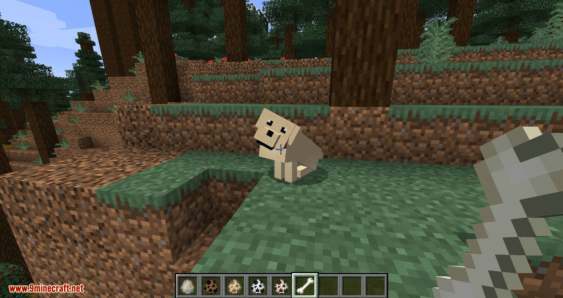 More Dogs Mod 1.15.2, 1.14.4 (More Dog Breeds to Minecraft) 15