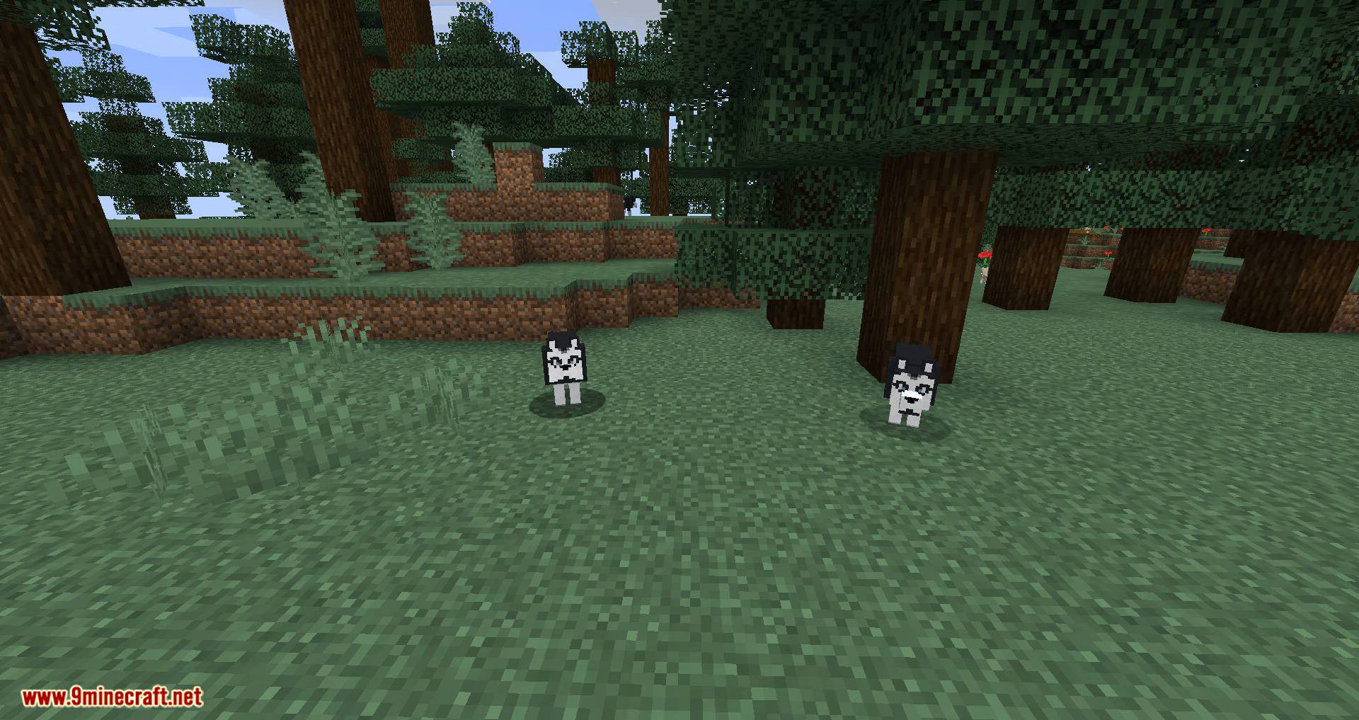 More Dogs Mod 1.15.2, 1.14.4 (More Dog Breeds to Minecraft) 17