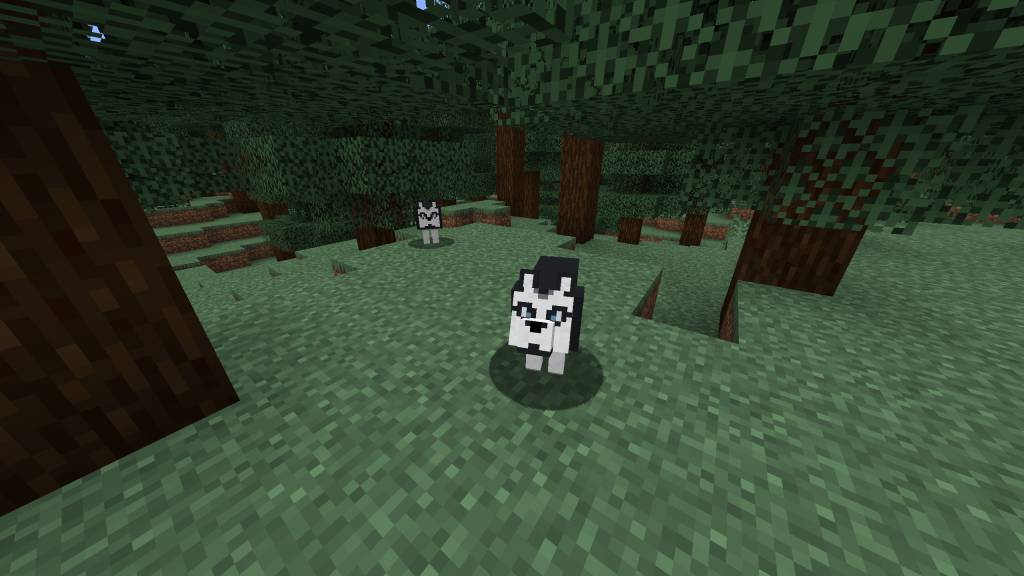 More Dogs Mod 1.15.2, 1.14.4 (More Dog Breeds to Minecraft) 5