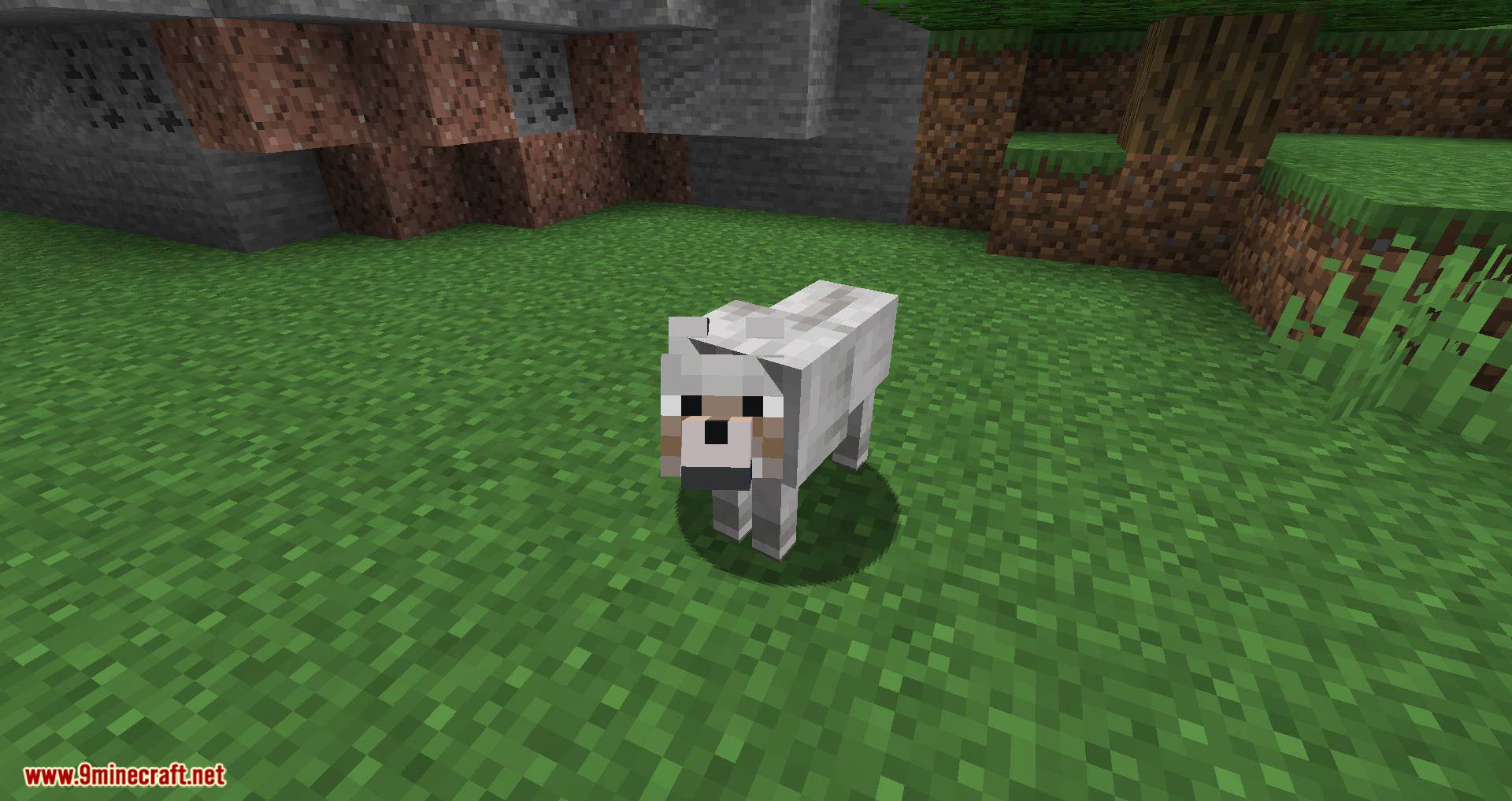 Pet Your Wolf Mod 1.16.4, 1.14.4 (Pet Your Tamed Wolves) 2