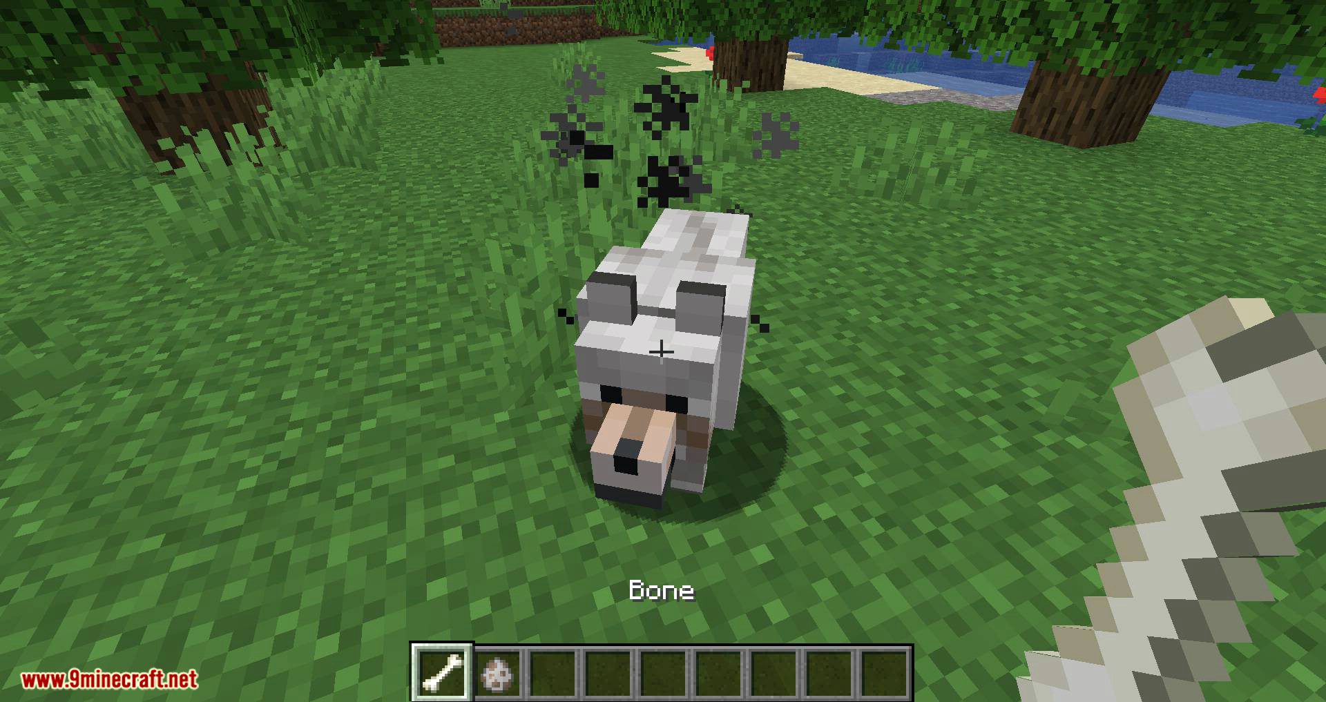 Pet Your Wolf Mod 1.16.4, 1.14.4 (Pet Your Tamed Wolves) 3