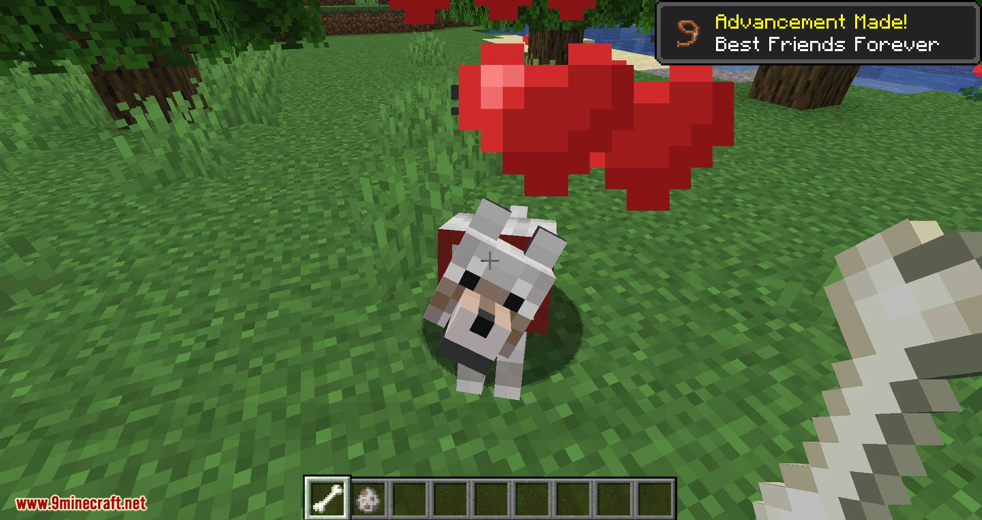 Pet Your Wolf Mod 1.16.4, 1.14.4 (Pet Your Tamed Wolves) 4