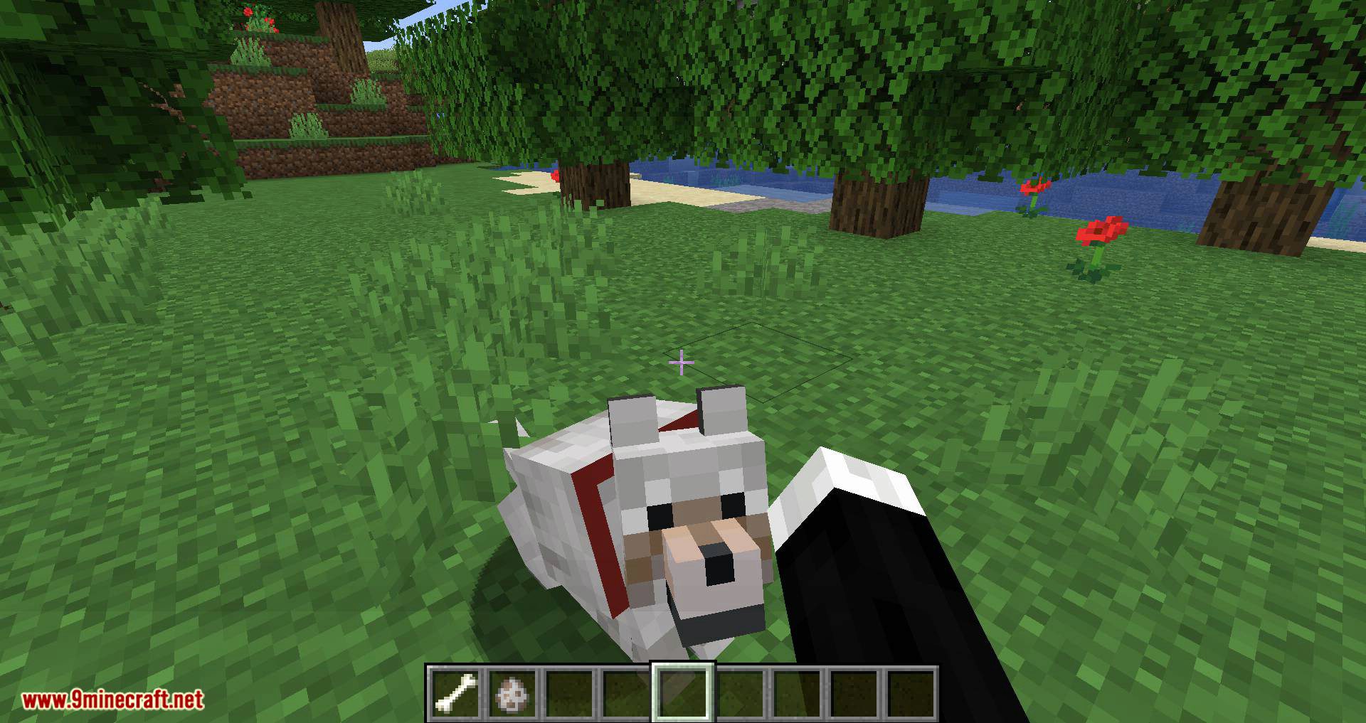Pet Your Wolf Mod 1.16.4, 1.14.4 (Pet Your Tamed Wolves) 5