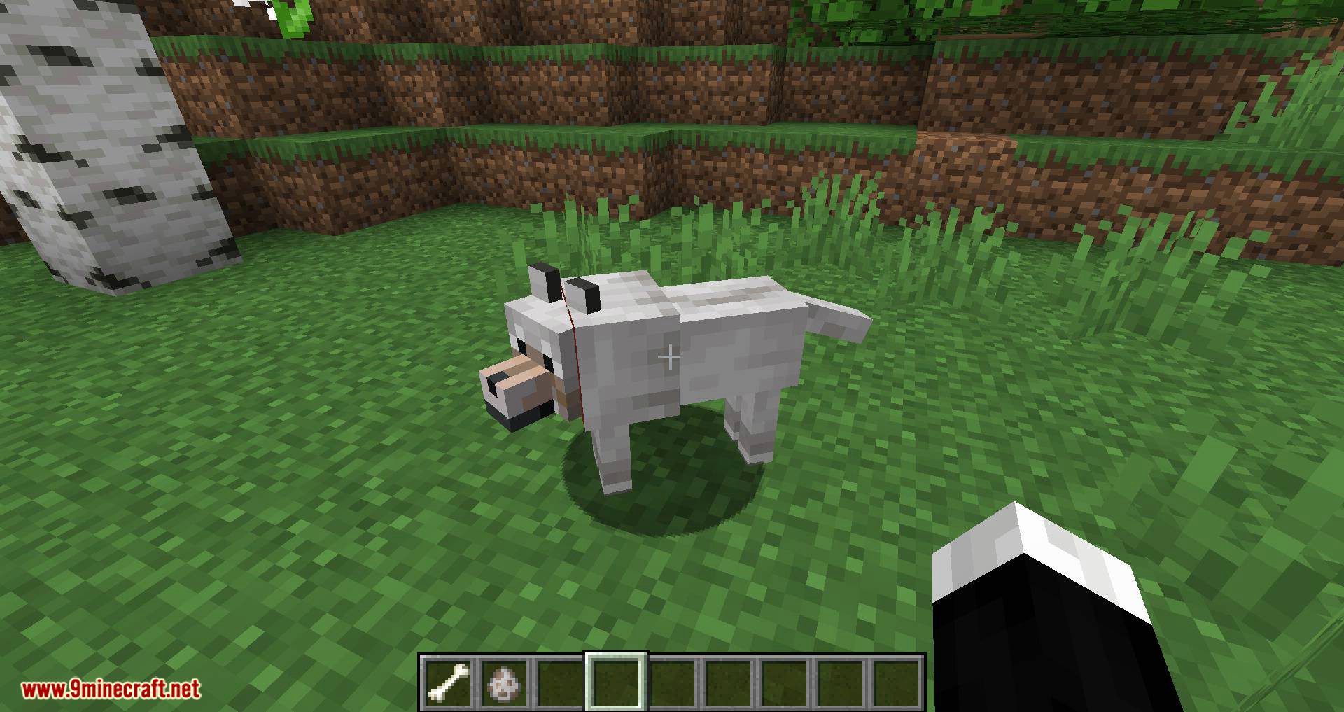 Pet Your Wolf Mod 1.16.4, 1.14.4 (Pet Your Tamed Wolves) 7