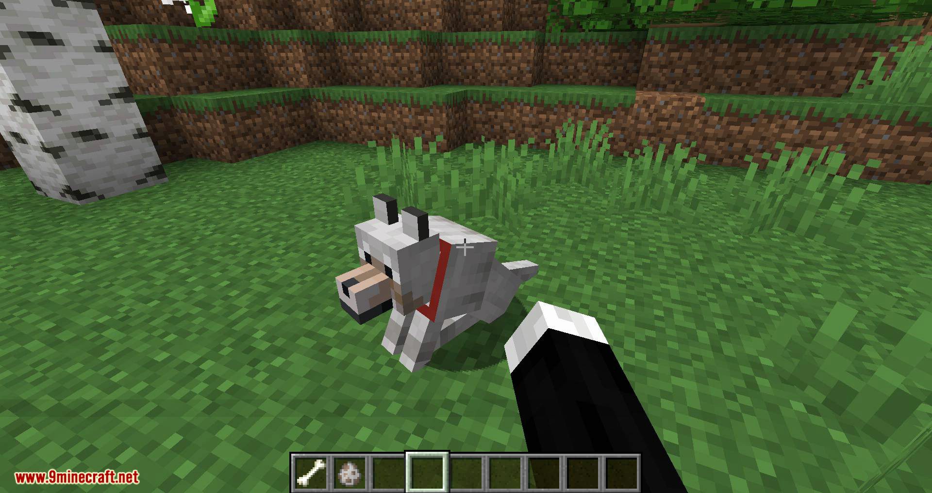 Pet Your Wolf Mod 1.16.4, 1.14.4 (Pet Your Tamed Wolves) 8