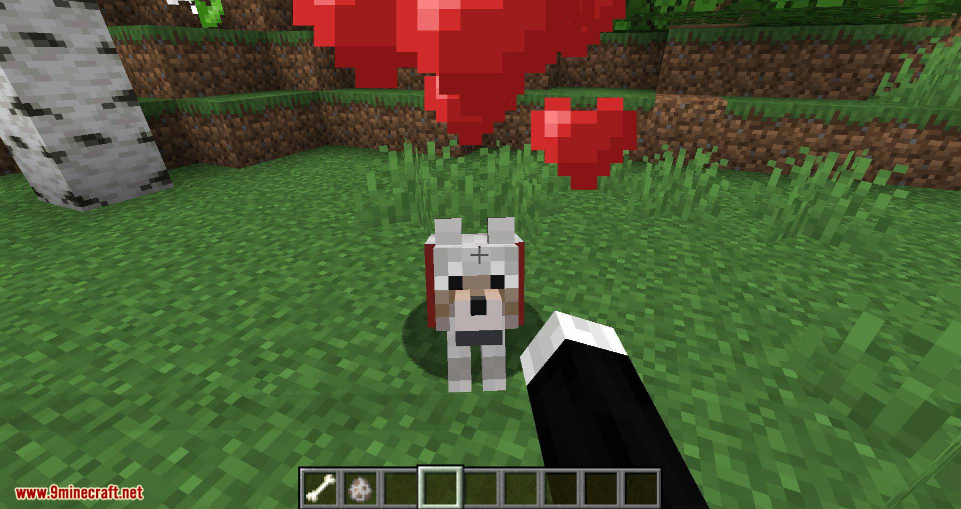 Pet Your Wolf Mod 1.16.4, 1.14.4 (Pet Your Tamed Wolves) 9