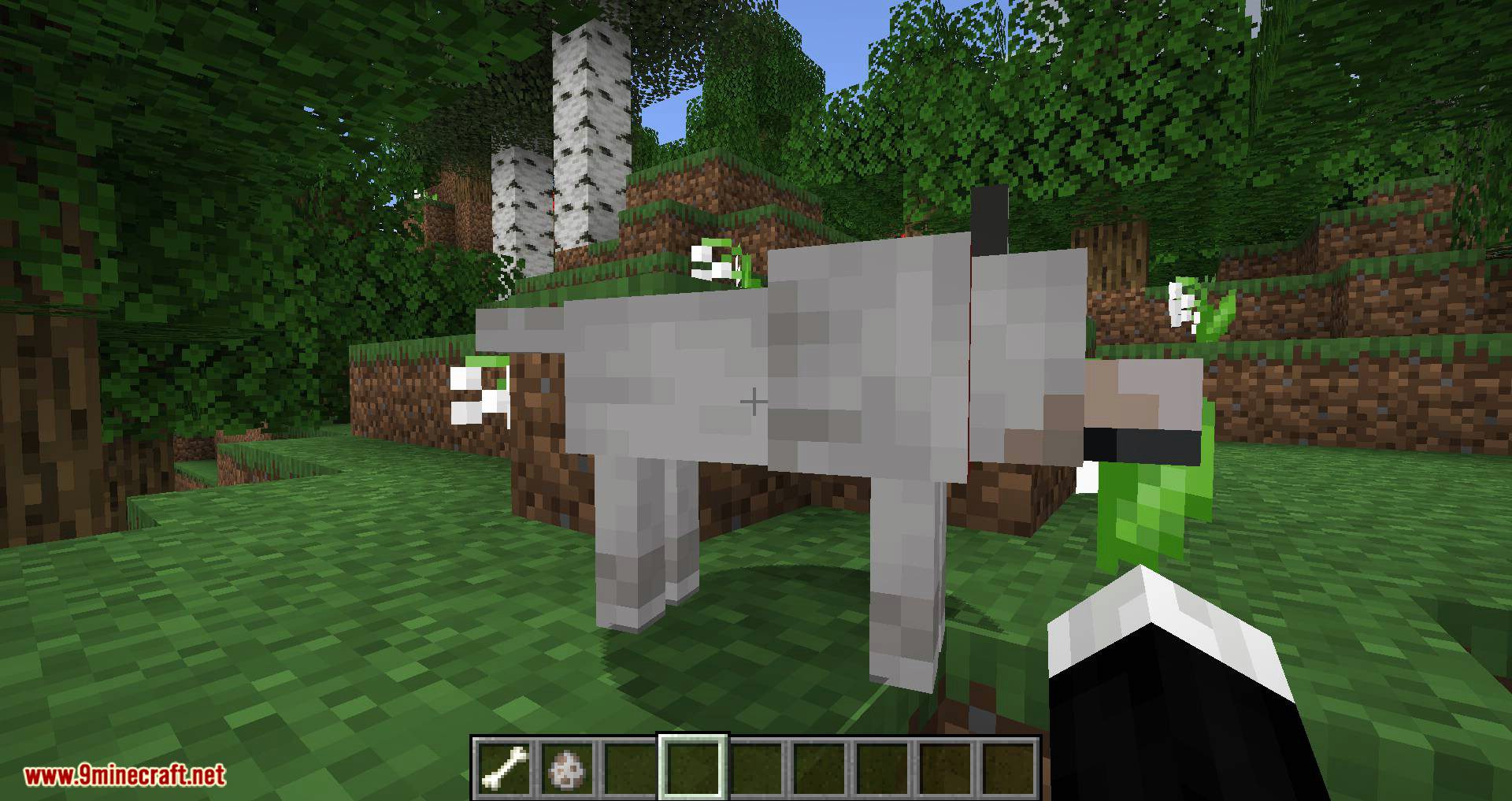 Pet Your Wolf Mod 1.16.4, 1.14.4 (Pet Your Tamed Wolves) 10