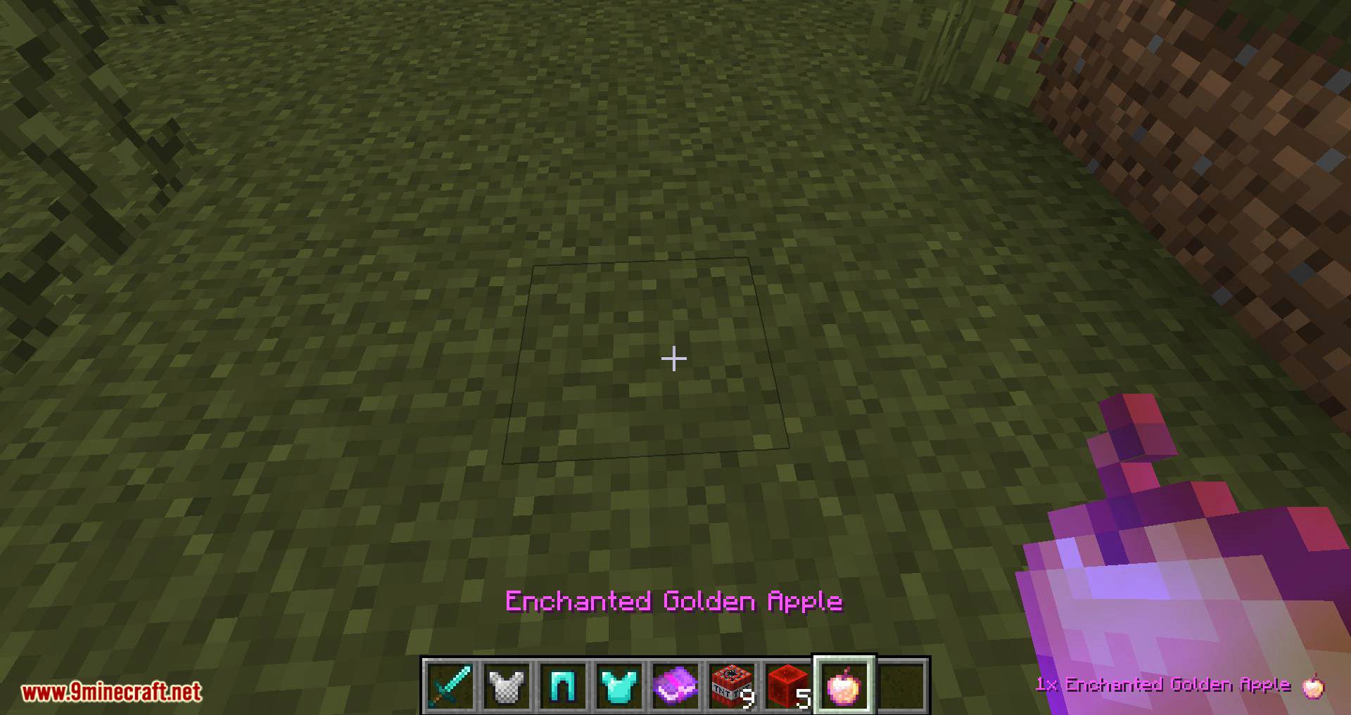 Pick Up Notifier Mod (1.20.4, 1.19.4) - Display for the Items Picked 9