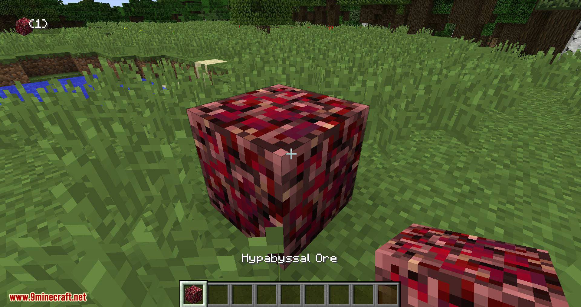 Pomarf's Dimensional Ores Mod 1.14.4, 1.12.2 (Bring Vanilla Ores to the Nether and End) 5