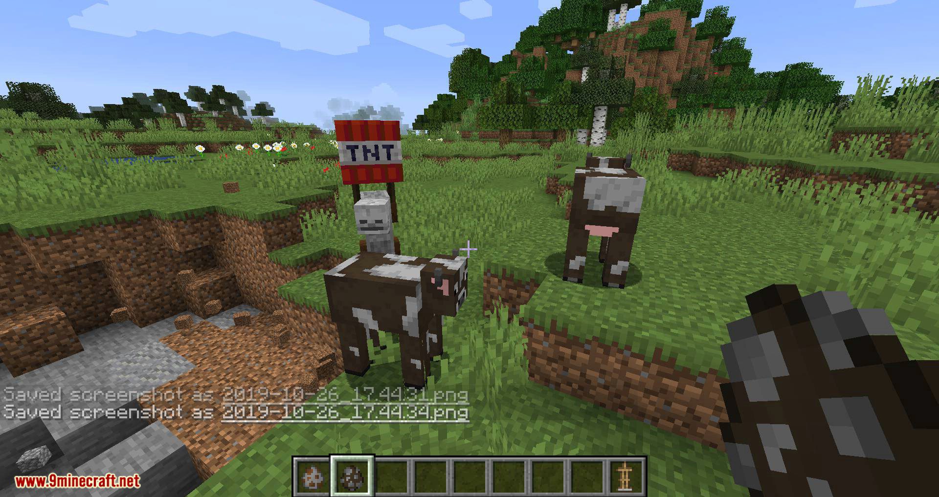 TNT Yeeter Mod 1.16.5, 1.15.2 (Mob Throws TNT) 6