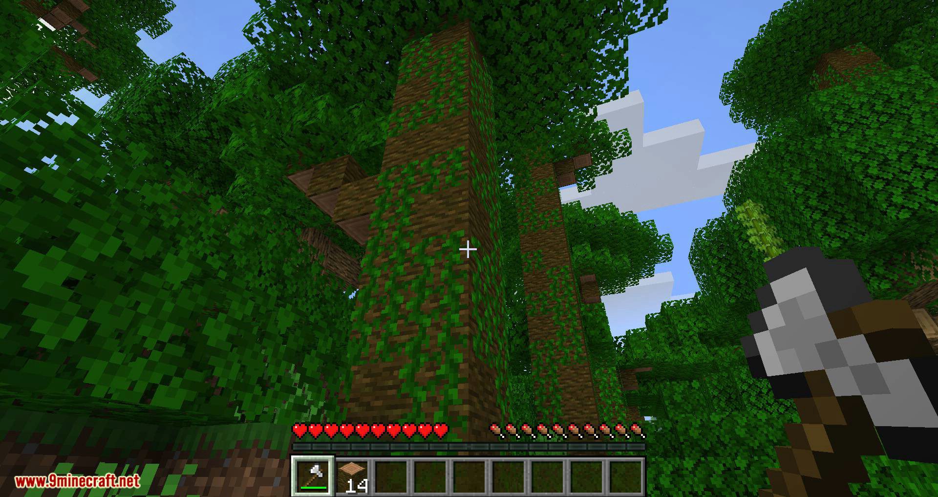 pizzaatime's Timber Mod (1.18.2, 1.17.1) - One Block Chop, Many Tree Drop 6
