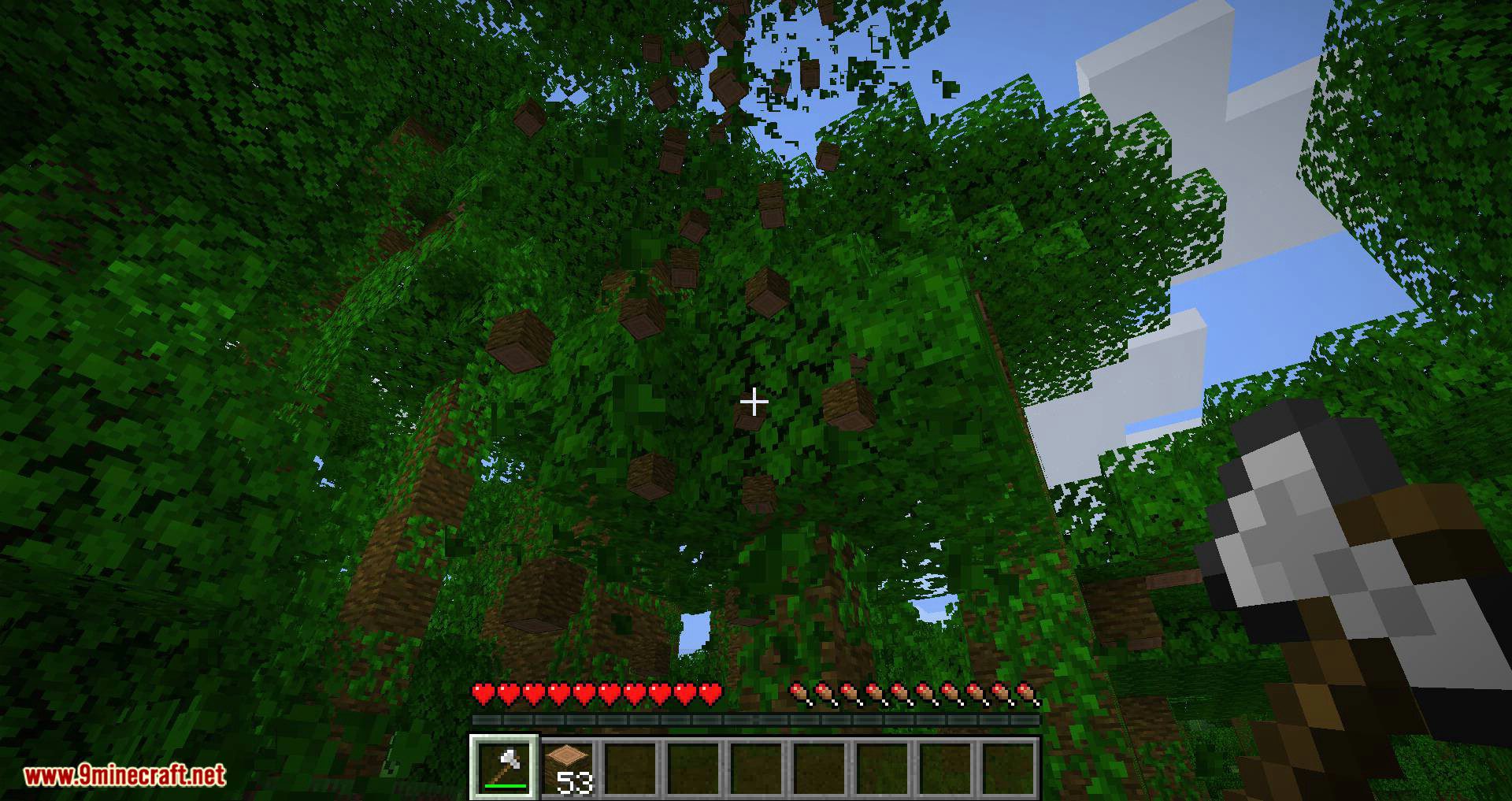 pizzaatime's Timber Mod (1.18.2, 1.17.1) - One Block Chop, Many Tree Drop 9