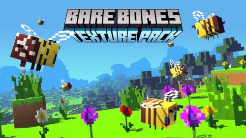 Bare Bones Resource Pack (1.21, 1.20.1) – Texture Pack Thumbnail