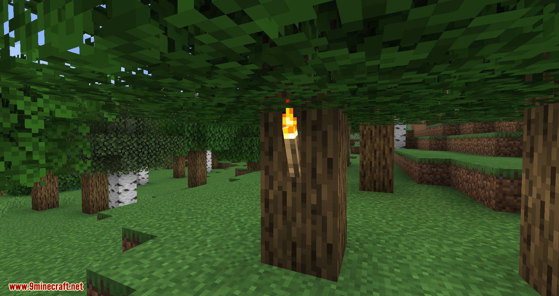 Campfire Torches Mod (1.19.3, 1.16.4) - Light Sticks into Torches on the campfire 3