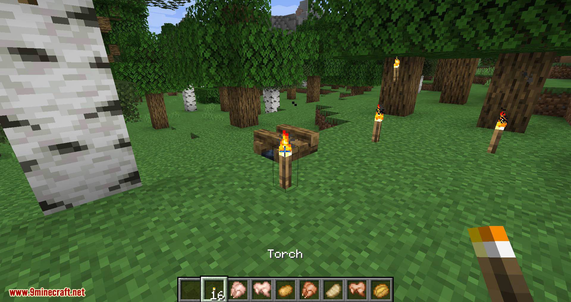 Campfire Torches Mod (1.19.3, 1.16.4) - Light Sticks into Torches on the campfire 11