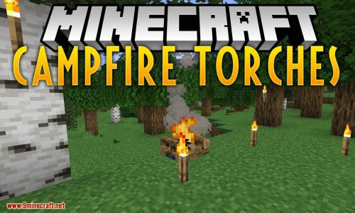 Campfire Torches Mod (1.19.3, 1.16.4) – Light Sticks into Torches on the campfire Thumbnail