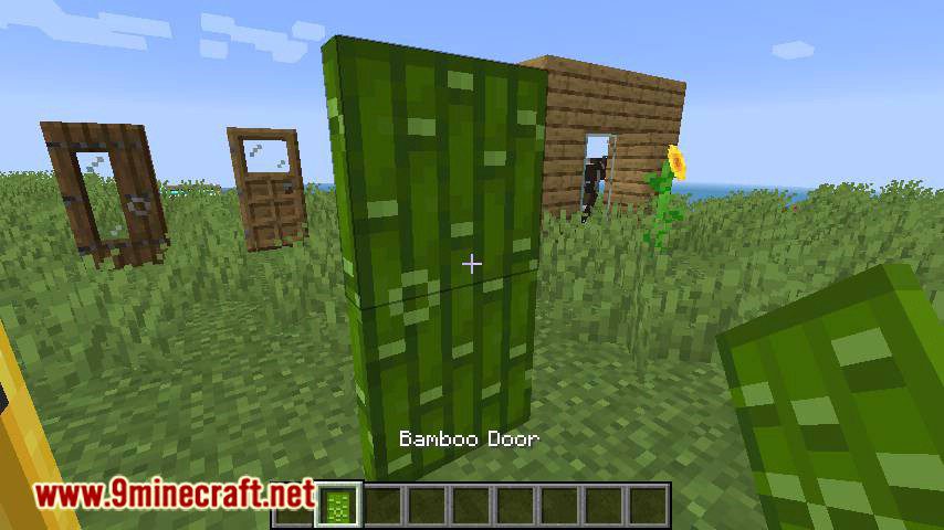 ExtraDoors Mod (1.16.5, 1.15.2) - A Bunch of New Doors 12