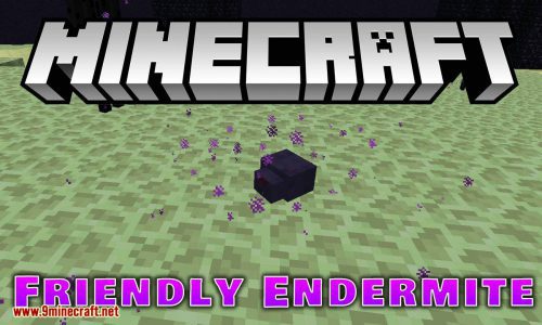 Friendly Endermite Mod (1.20.4, 1.19.2) – Friendermite, Enderman Will Not Attack Endermite Thumbnail