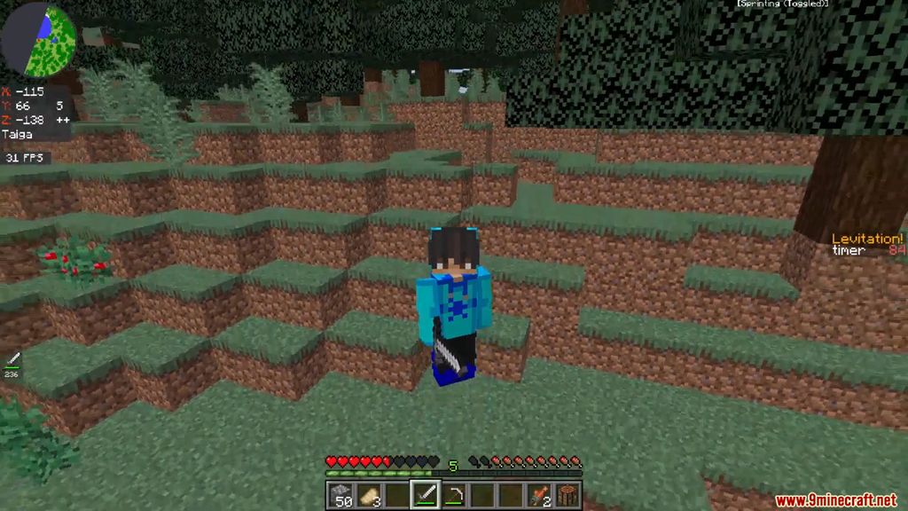Minecraft But You Levitate Every 5 Seconds Data Pack 1.15.2 4