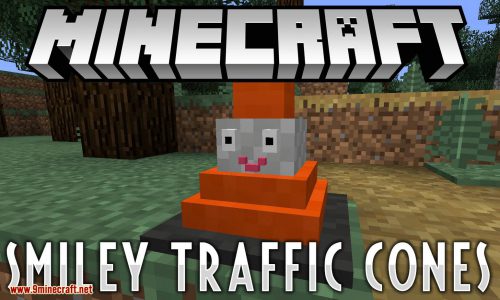 Smiley Traffic Cones Mod 1.12.2 (Who Doesn’t Love Smiley Traffic Cones?) Thumbnail