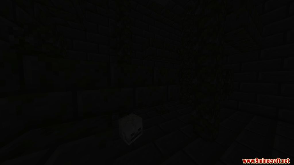 The Lost Dungeon Map 1.14.4 for Minecraft 10