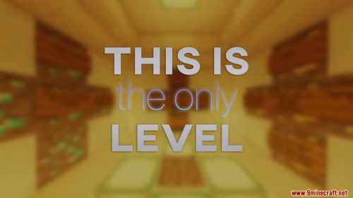 This Is The Only Level Map 1.14.4 for Minecraft Thumbnail