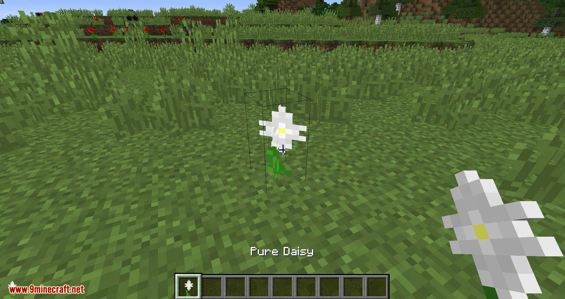 Whoops Mod 1.15.2, 1.14.4 (Right-click Blocks onto the Pure Daisy) 2