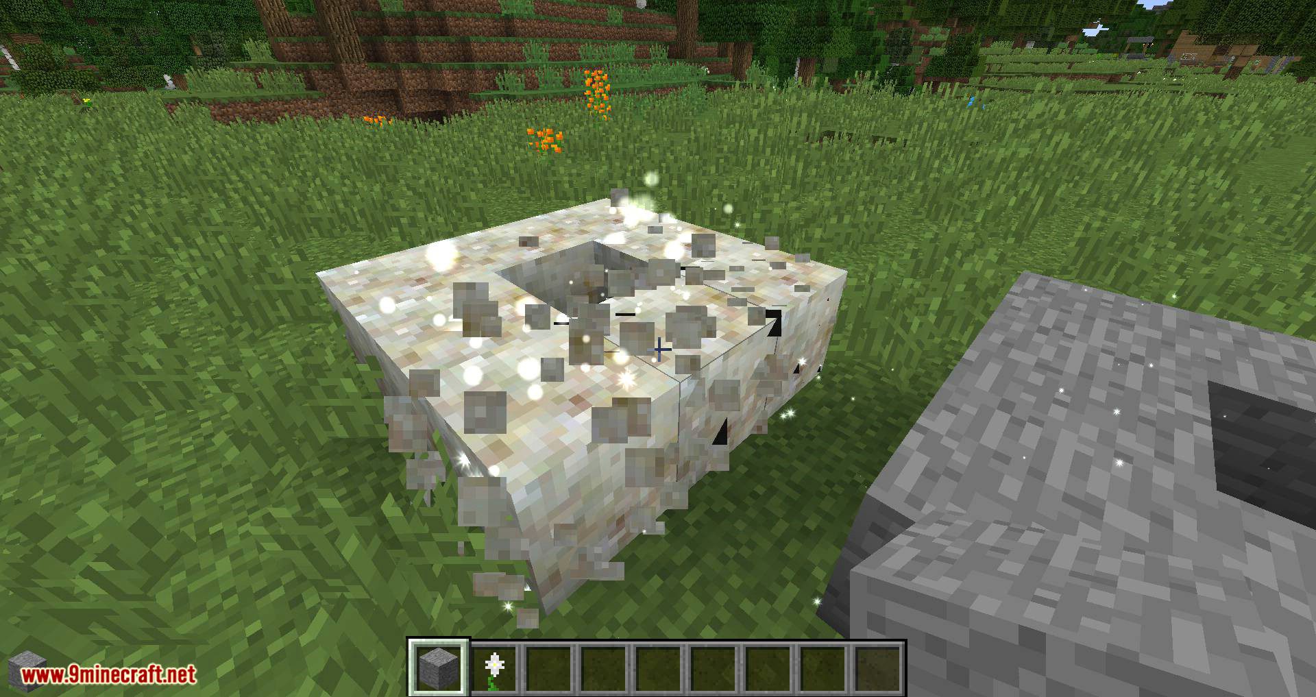 Whoops Mod 1.15.2, 1.14.4 (Right-click Blocks onto the Pure Daisy) 10