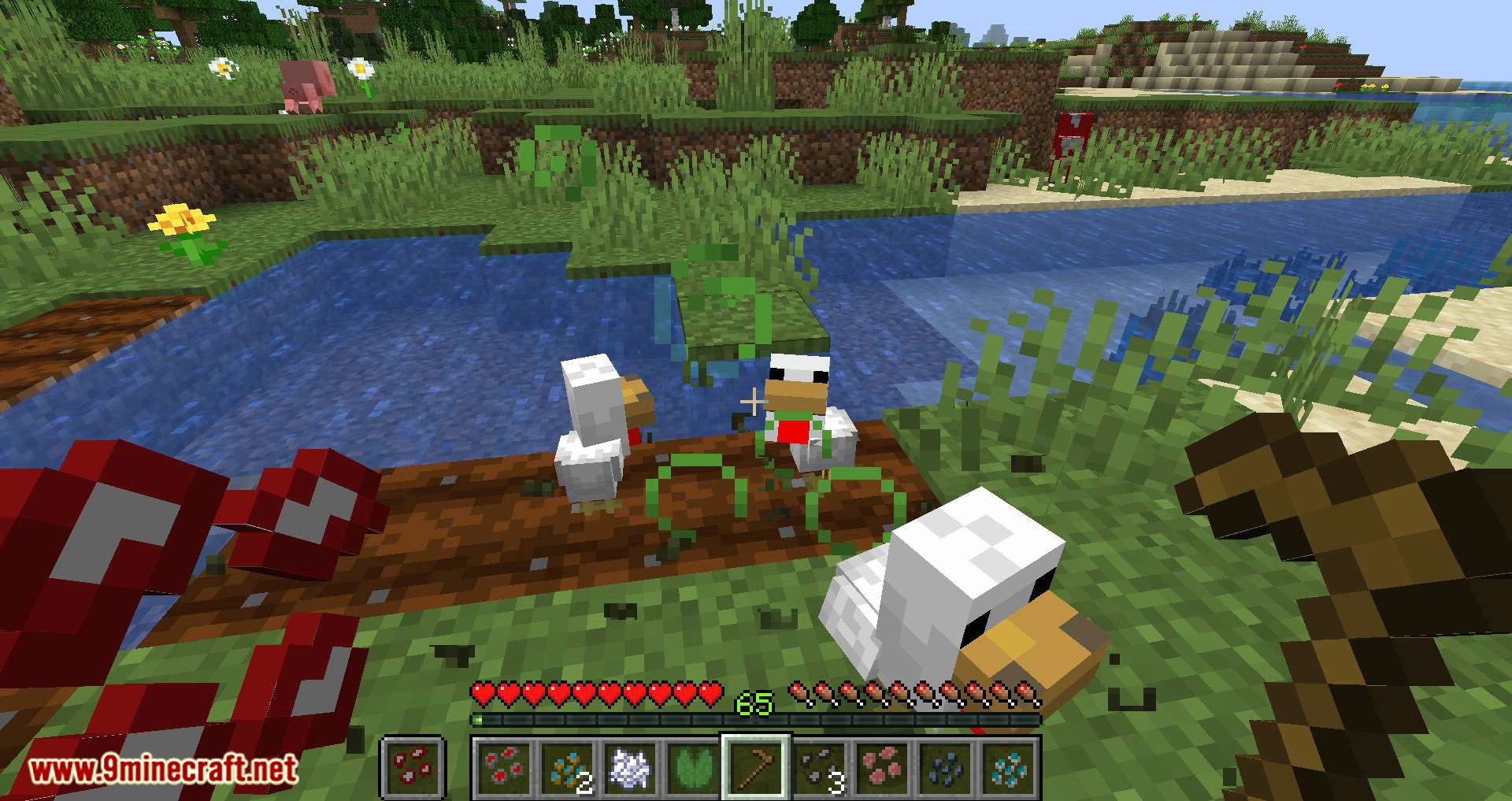 Animal Crops Mod (1.18.2, 1.16.5) - Adding Seeds to Grow Passive Mobs 19