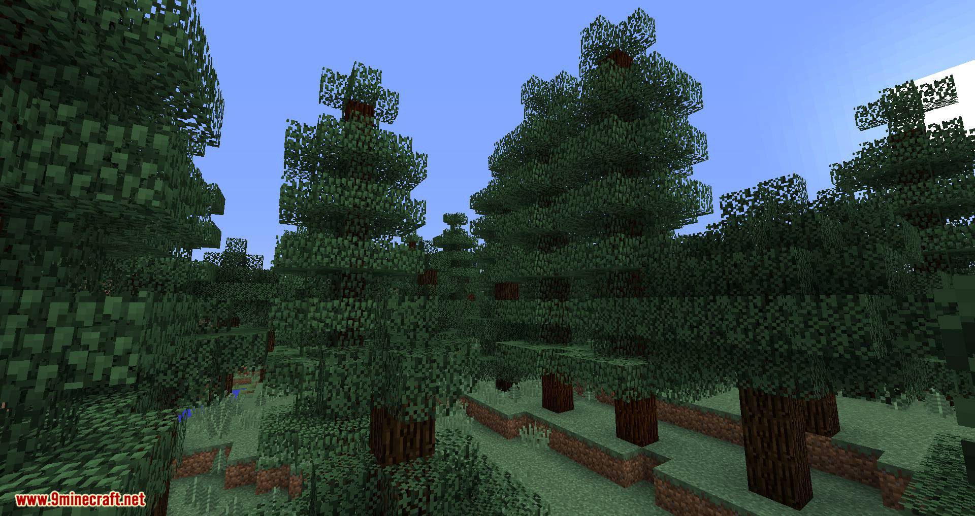 Environs++ Mod 1.12.2 (Adds 15+ New Biomes to Your World) 10