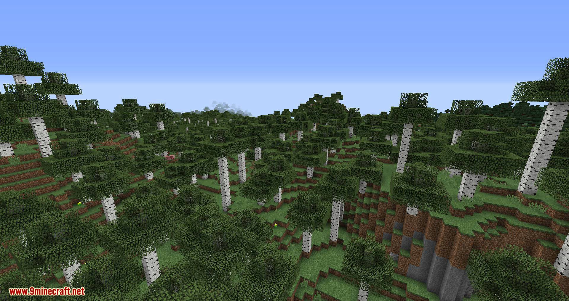 Environs++ Mod 1.12.2 (Adds 15+ New Biomes to Your World) 13