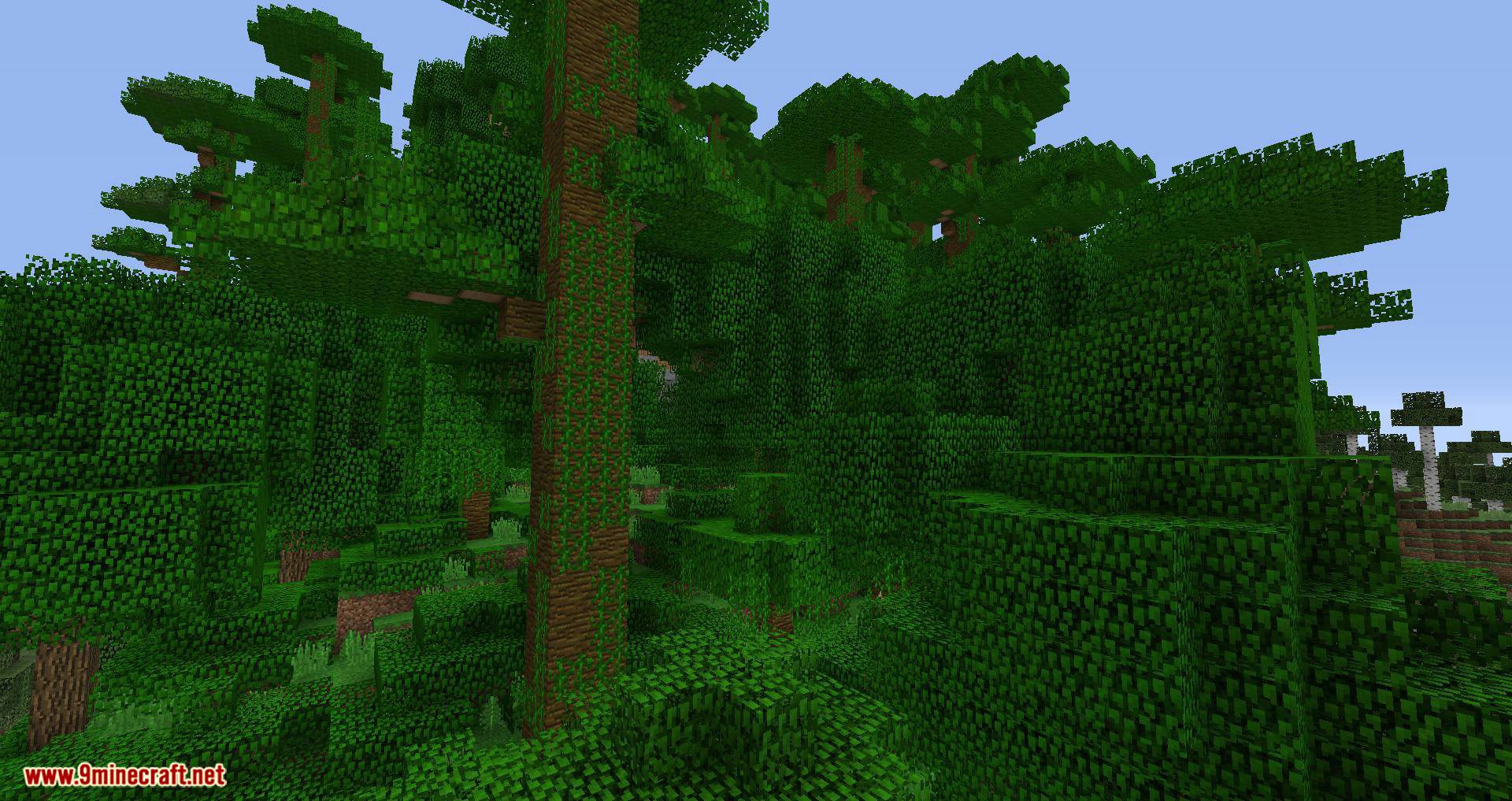 Environs++ Mod 1.12.2 (Adds 15+ New Biomes to Your World) 15