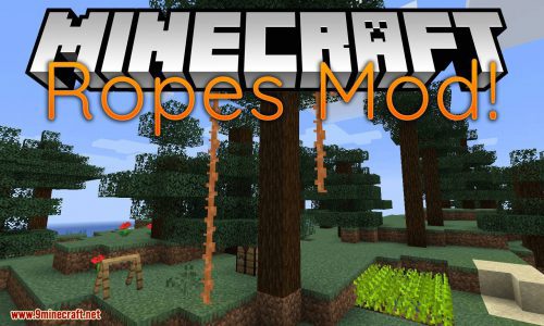 Ropes Mod (1.16.5, 1.15.2) – Adding Climbable Ropes Thumbnail