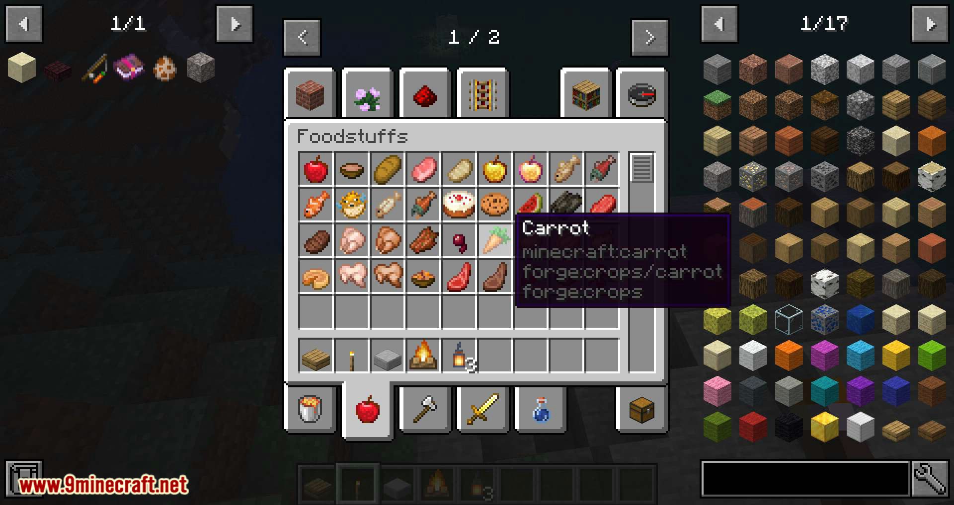 Tag Tooltip Mod 1.15.1, 1.14.4 (Adds a Tooltip that Shows What Tags an Item Has) 11