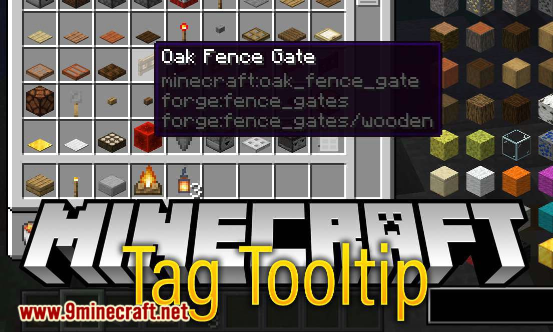 Tag Tooltip Mod 1.15.1, 1.14.4 (Adds a Tooltip that Shows What Tags an Item Has) 1