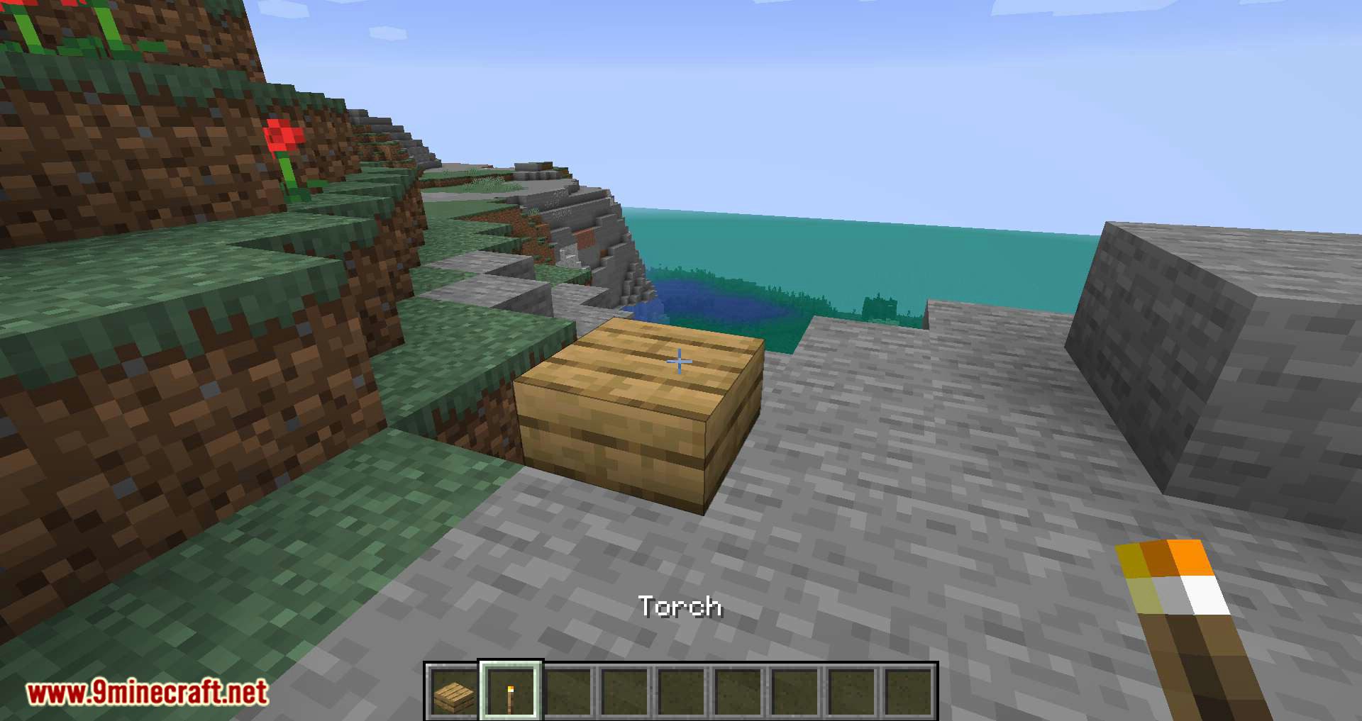 Torch Slabs Mod (1.19, 1.16.5) - Lanterns to be Placed on Half Slab Blocks 3