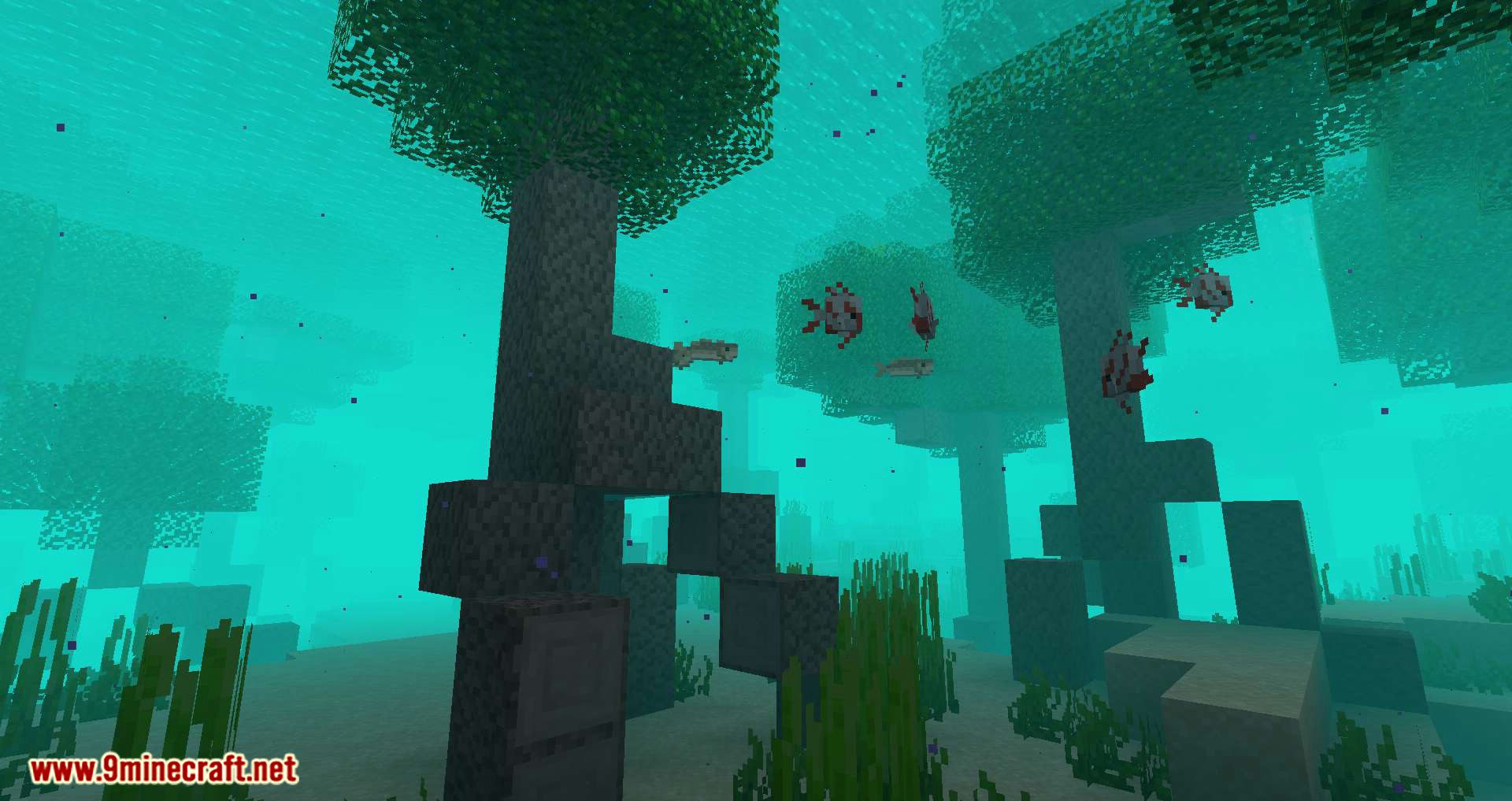 Underwater Biome Mod 1.15.1, 1.14.4 (New Biomes in the Ocean, New Features and Tech-Tree) 5