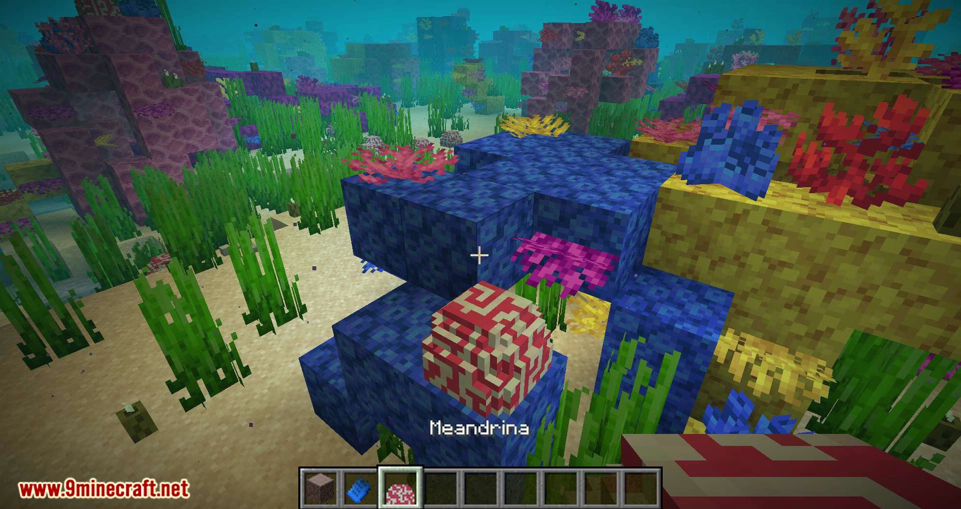 Underwater Biome Mod 1.15.1, 1.14.4 (New Biomes in the Ocean, New Features and Tech-Tree) 7