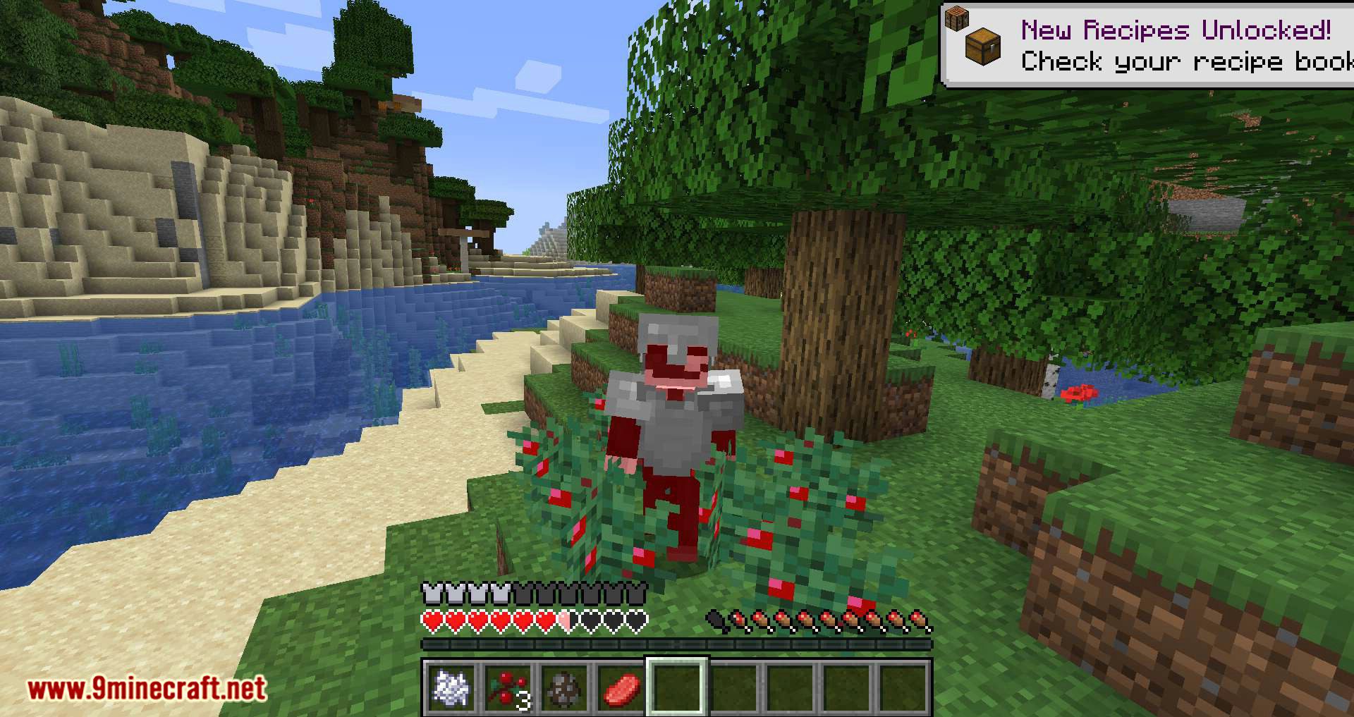 Walk Through Berries Mod (1.20.4, 1.19.4) - Sneak Through Berries 8