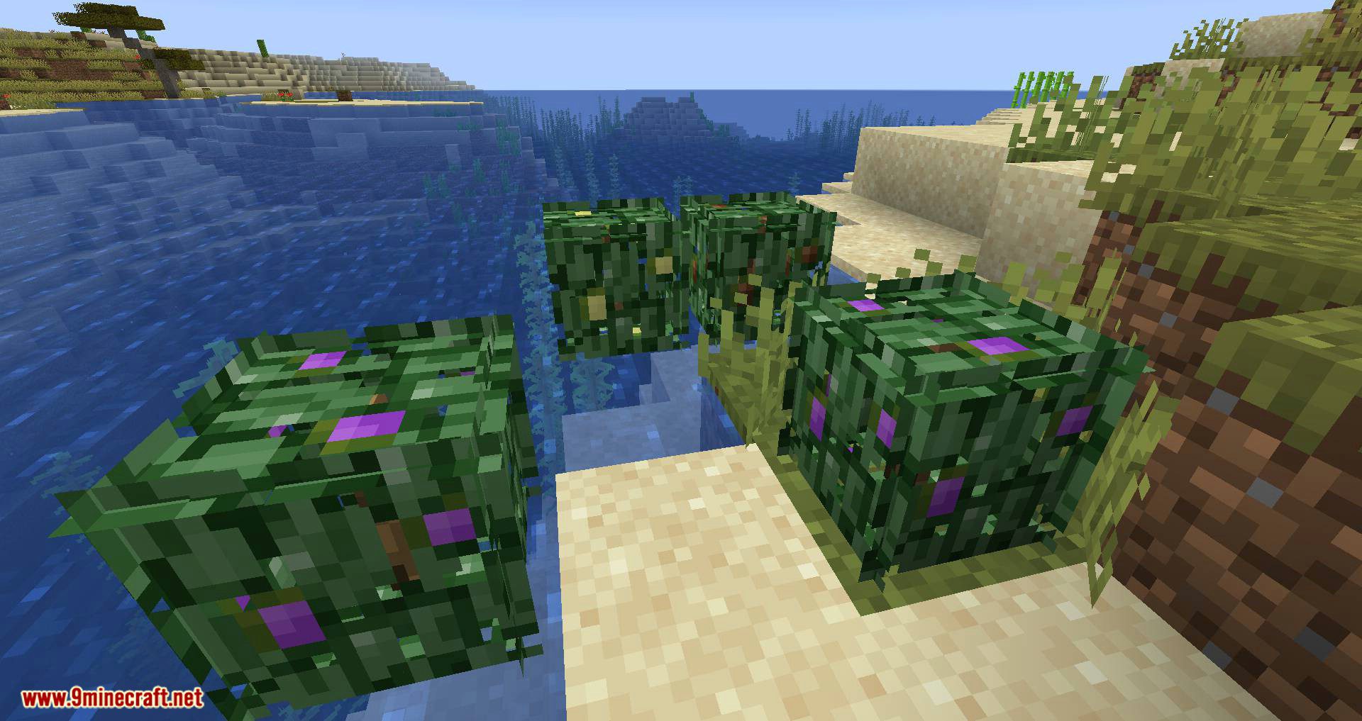 Berry Bushes Mod 1.15.2, 1.14.4 (Randomly Spawn Berry Bushes with Different Colors) 7