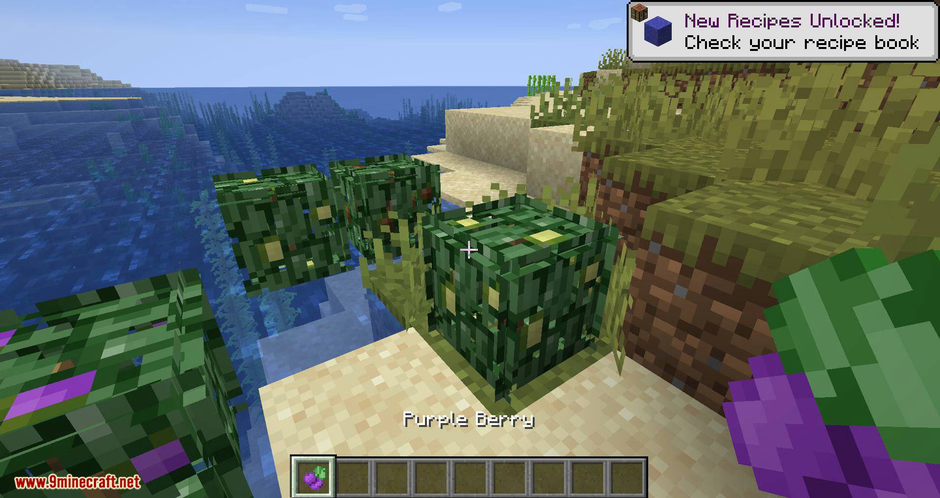 Berry Bushes Mod 1.15.2, 1.14.4 (Randomly Spawn Berry Bushes with Different Colors) 8