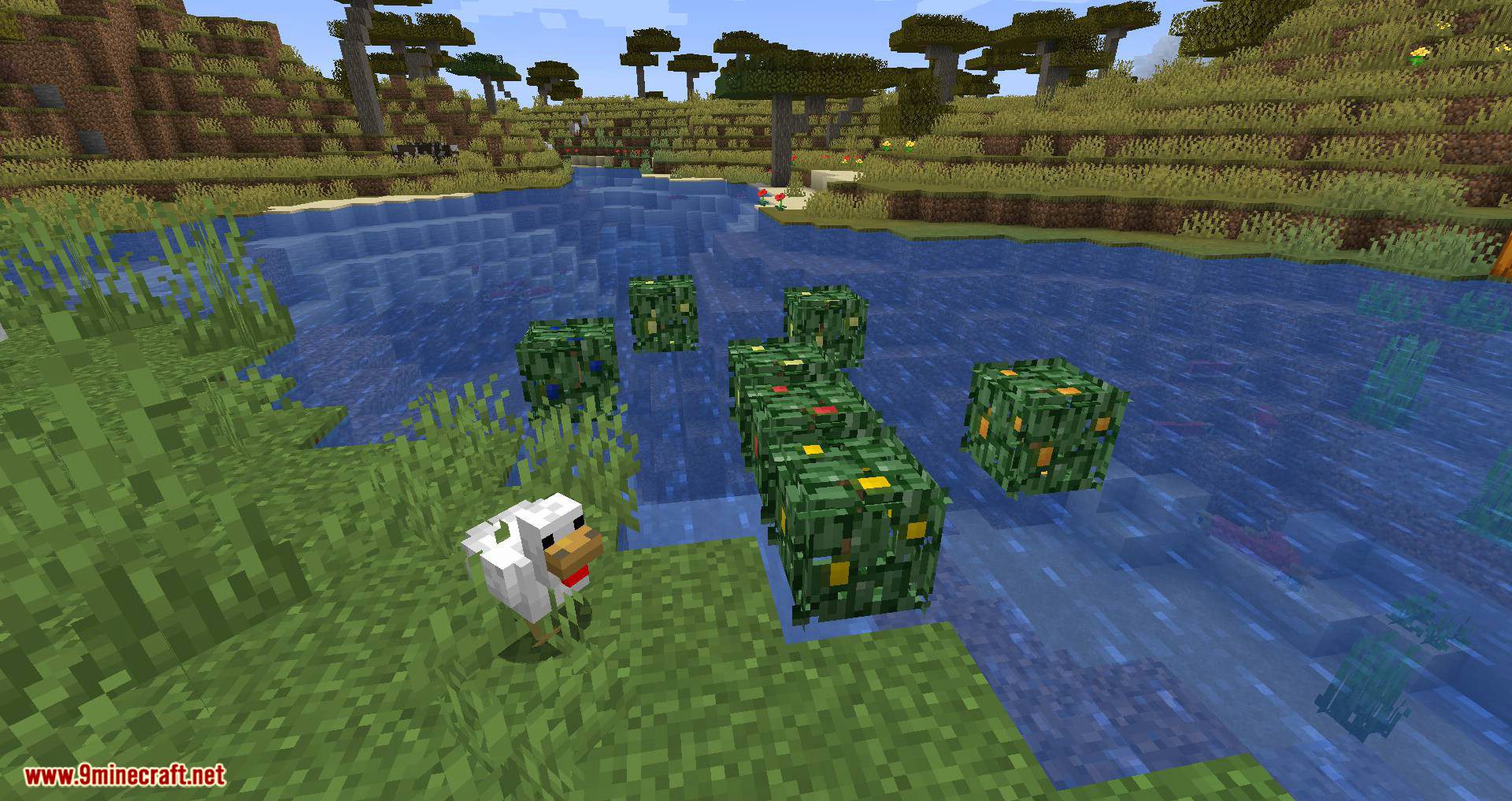 Berry Bushes Mod 1.15.2, 1.14.4 (Randomly Spawn Berry Bushes with Different Colors) 10