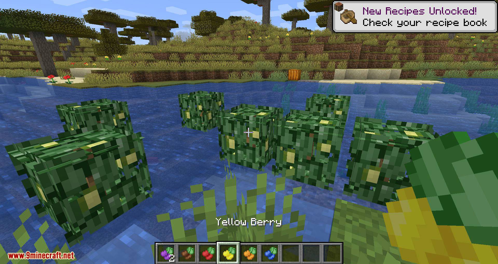 Berry Bushes Mod 1.15.2, 1.14.4 (Randomly Spawn Berry Bushes with Different Colors) 11