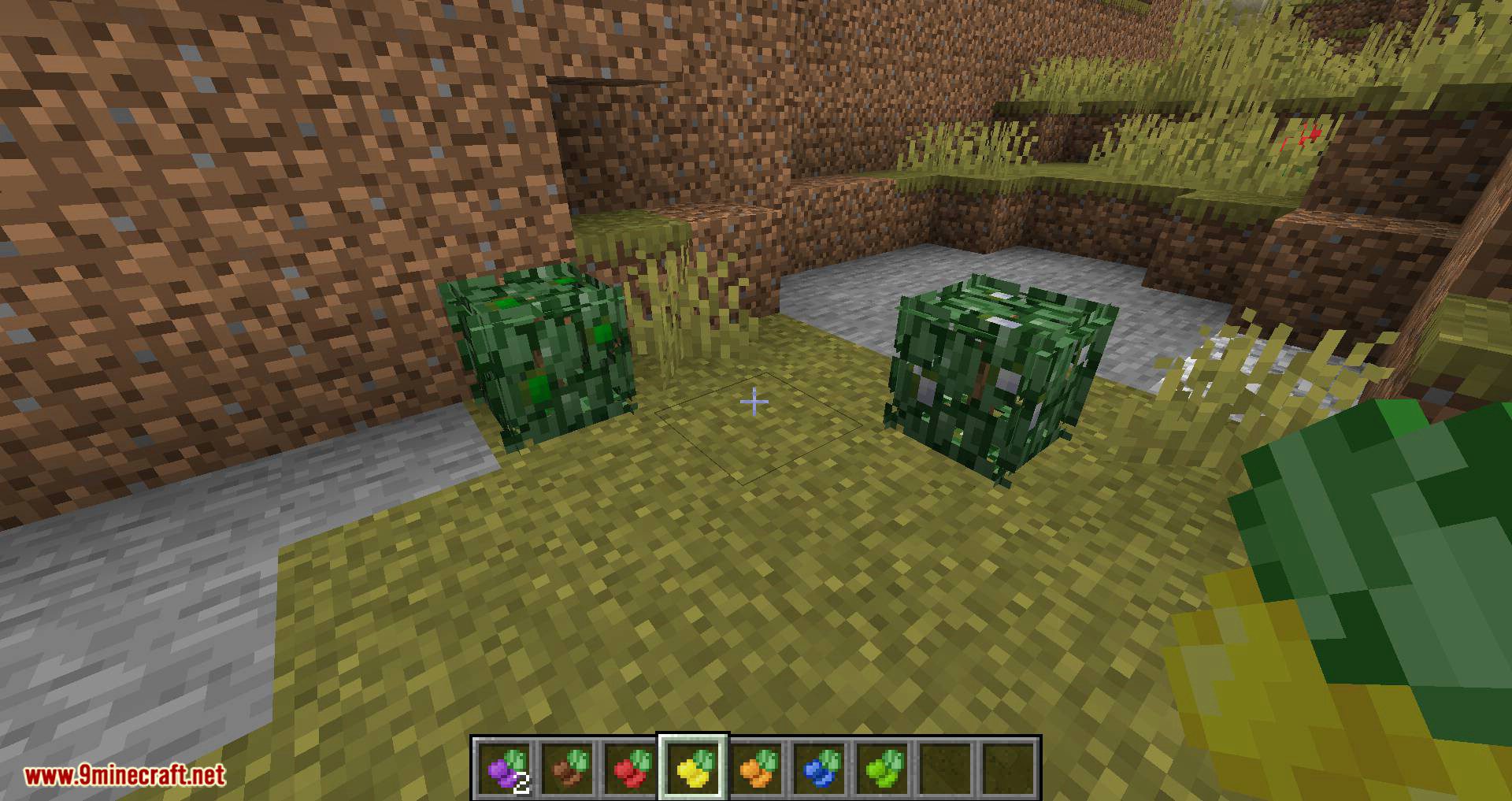 Berry Bushes Mod 1.15.2, 1.14.4 (Randomly Spawn Berry Bushes with Different Colors) 13