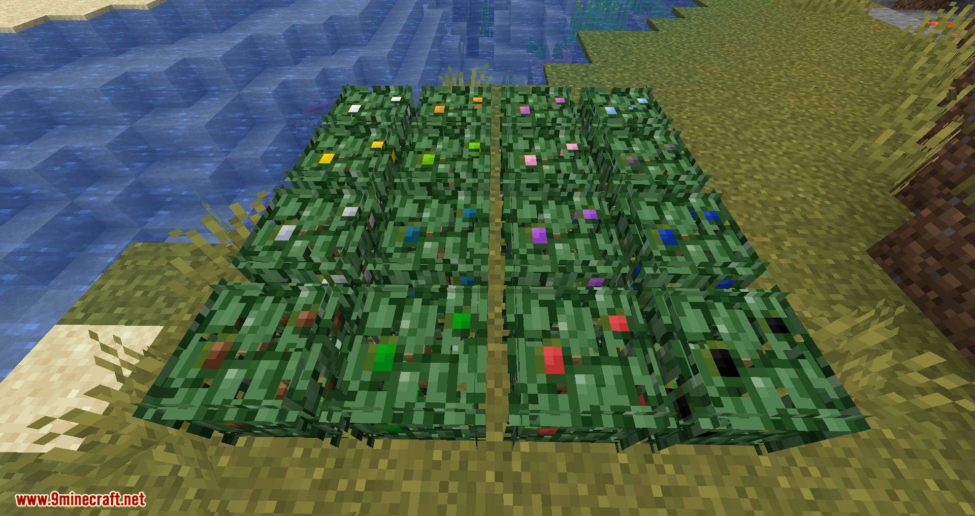 Berry Bushes Mod 1.15.2, 1.14.4 (Randomly Spawn Berry Bushes with Different Colors) 15