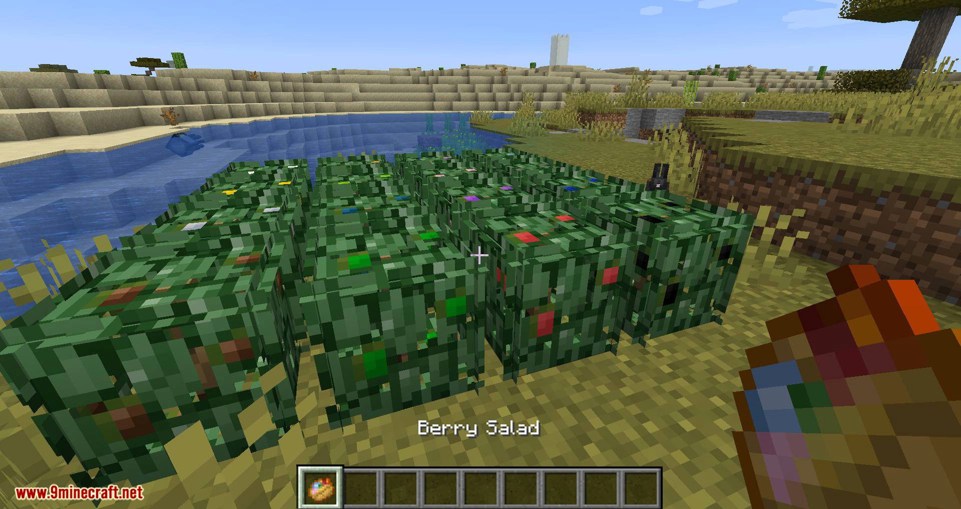 Berry Bushes Mod 1.15.2, 1.14.4 (Randomly Spawn Berry Bushes with Different Colors) 16