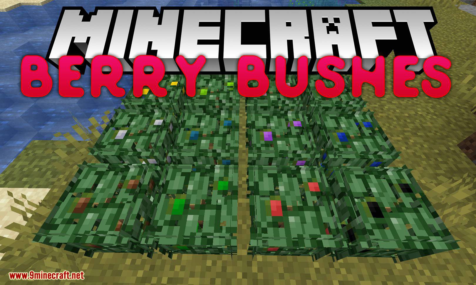 Berry Bushes Mod 1.15.2, 1.14.4 (Randomly Spawn Berry Bushes with Different Colors) 1